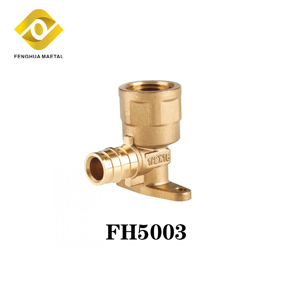 FH5003